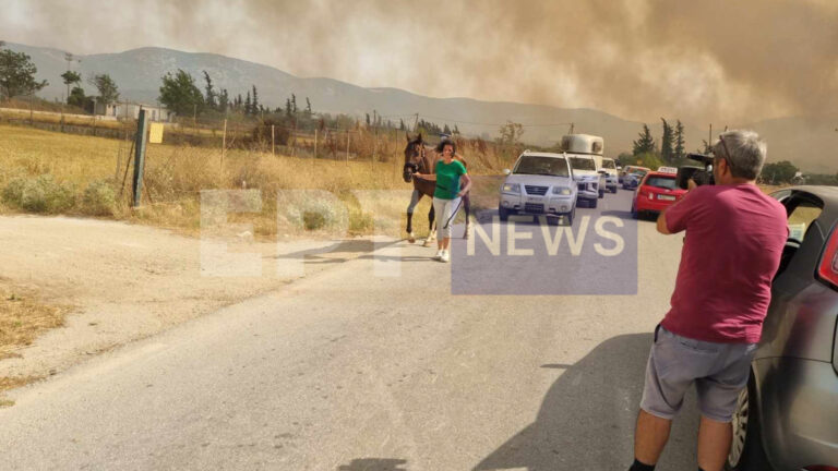 Μεγάλη φωτιά στο Βελεστίνο απειλεί την ΒΙΠΕ: Καίγονται σπίτια και αγνοείται βοσκός στον Άγιο Γεώργιο Φερών – Νέο 112 για άλλα 2 χωριά