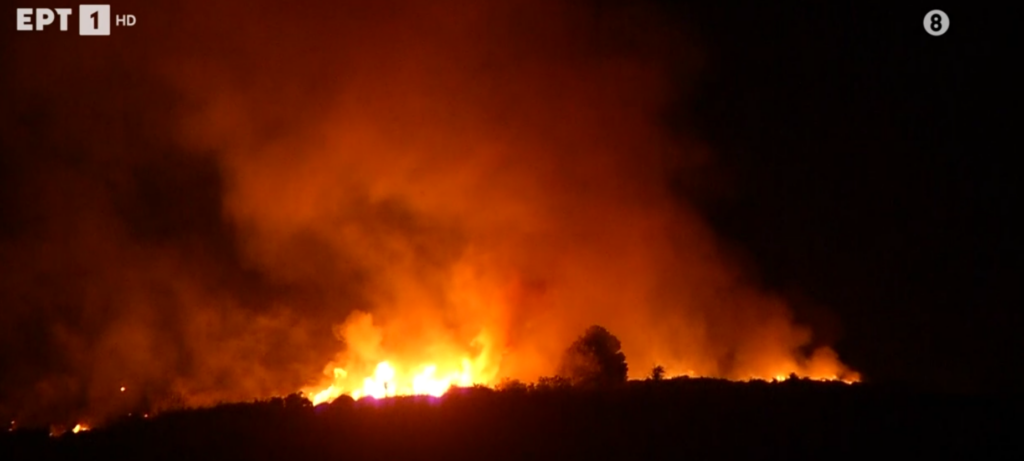 Πυρκαγιά σε δασική έκταση στο Αλιβέρι: Καλύτερη η εικόνα, απογειώθηκαν εναέρια μέσα – Συνελήφθη 75χρονος