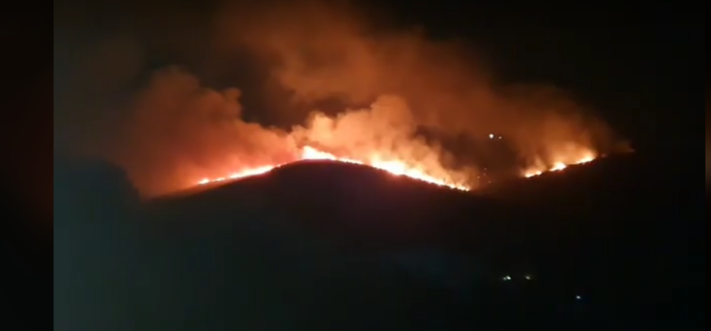 Πυρκαγιά σε δασική έκταση στο Αλιβέρι: Καλύτερη η εικόνα, απογειώθηκαν εναέρια μέσα – Συνελήφθη 75χρονος