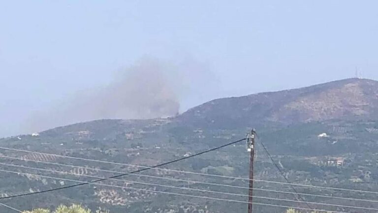 Μεσσηνία: Υπό έλεγχο η πυρκαγιά στην Υάμεια (βίντεο)