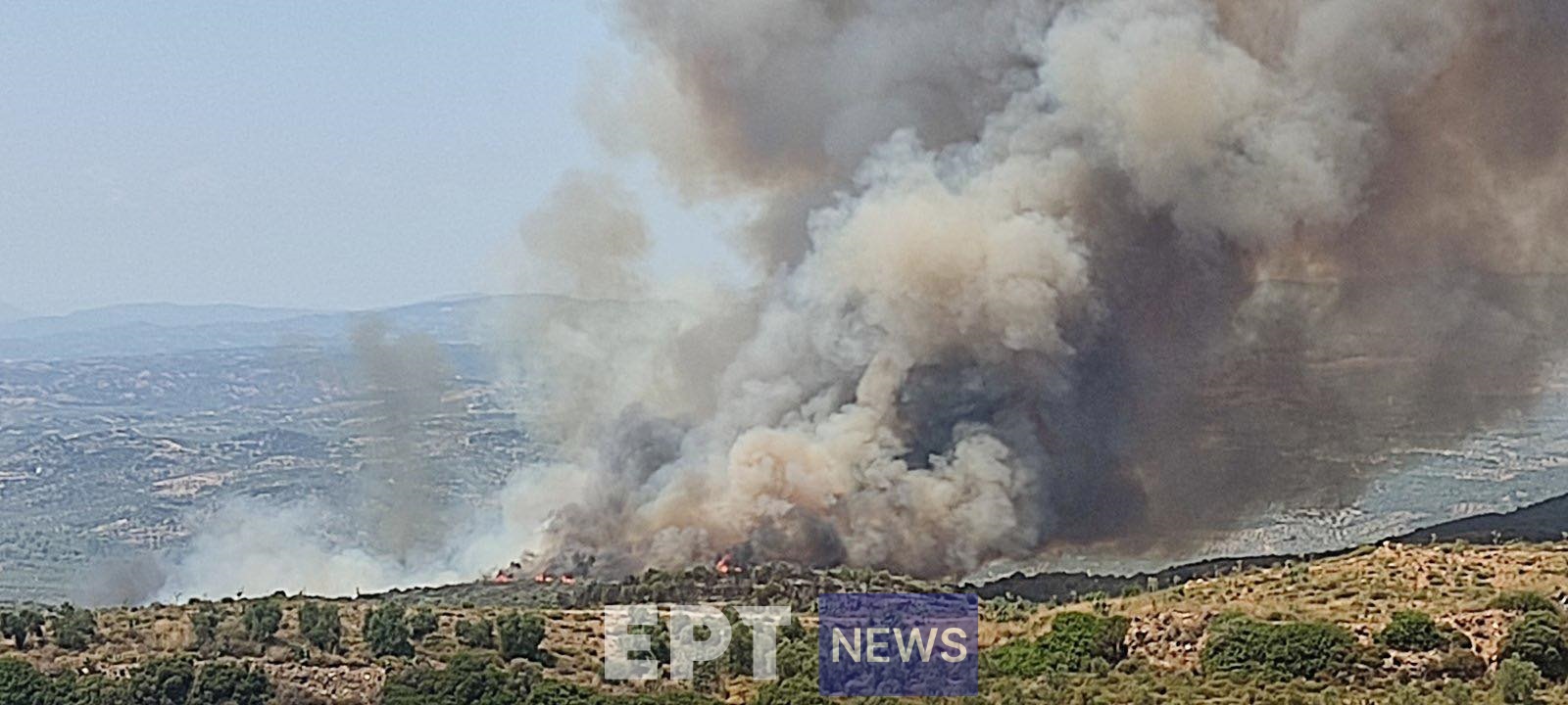 Αναζωπύρωση στην πυρκαγιά της Λακωνίας – Στην ίδια περιοχή από όπου ξεκίνησε