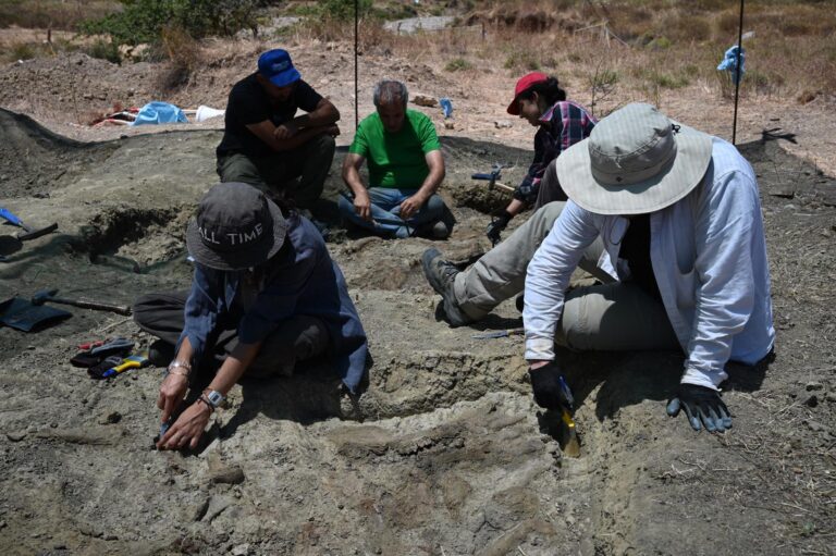 Λασίθι: Εντυπωσιακή ανακάλυψη στο οροπέδιο Καθαρού – Βρήκαν προϊστορικά οστά νάνου ιπποπόταμου