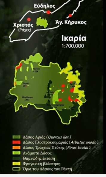 Το αρχέγονο δάσος του Ράντη και η «Λωλοσαράνταινα» (φωτορεπορτάζ)