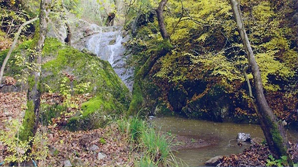 Σε πολύ υψηλό κίνδυνο πυρκαγιάς αύριο η ΠΕ Καρδίτσας – Απαγόρευση κυκλοφορίας σε δασικές περιοχές