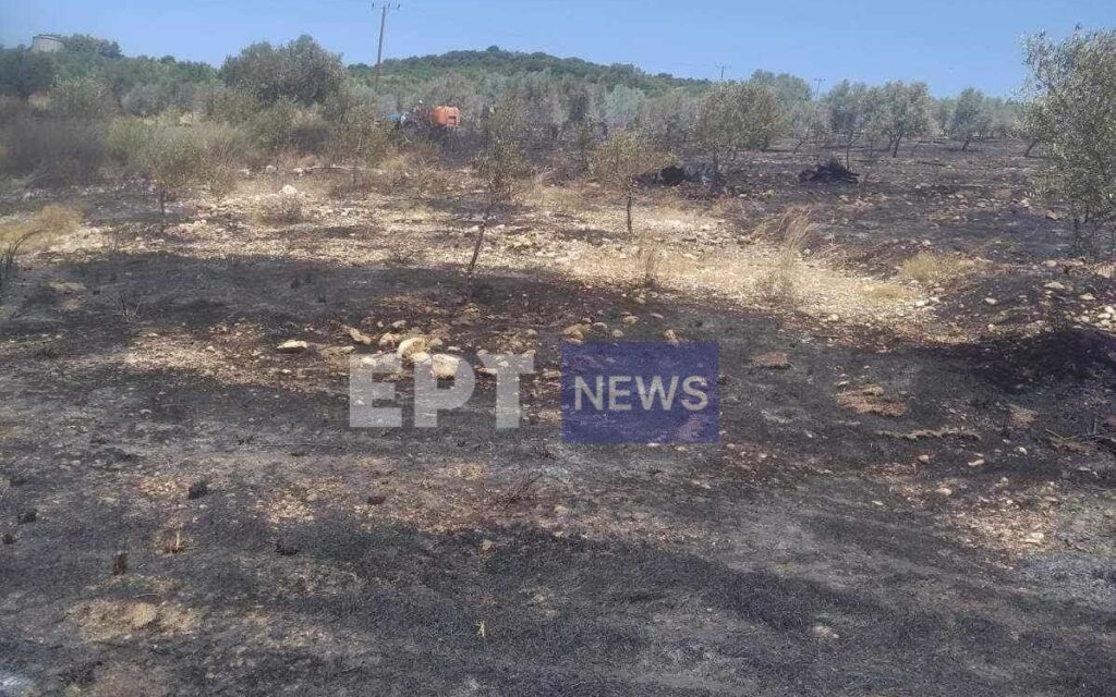 Οριοθετήθηκε η πυρκαγιά στο Γλυκορρίζι Μεσσηνίας