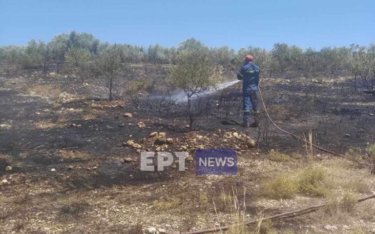 Υπό μερικό έλεγχο η πυρκαγιά στο Γλυκορρίζι Μεσσηνίας