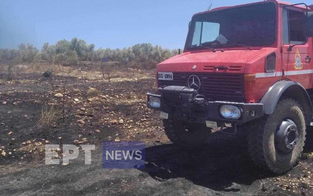 Μεσσηνία: Μεγάλη κινητοποίηση για πυρκαγιά στο Γλυκορρίζι