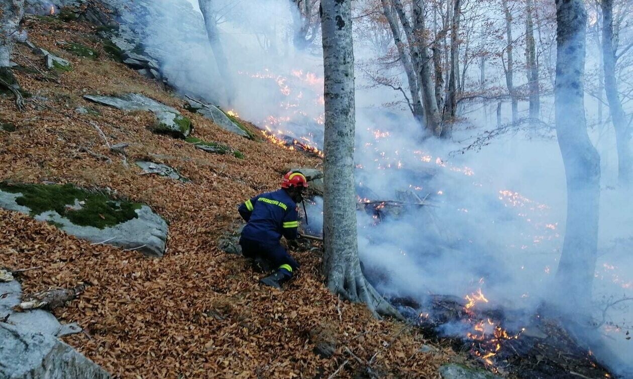 Σουφλί: Οριοθετήθηκε η πυρκαγιά που ξέσπασε σε δασική έκταση