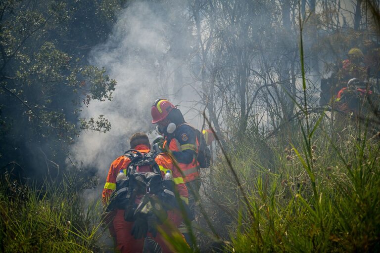 Μάνη: Φωτιά σε χαμηλή βλάστηση νότια του οικισμού Πάλιρος