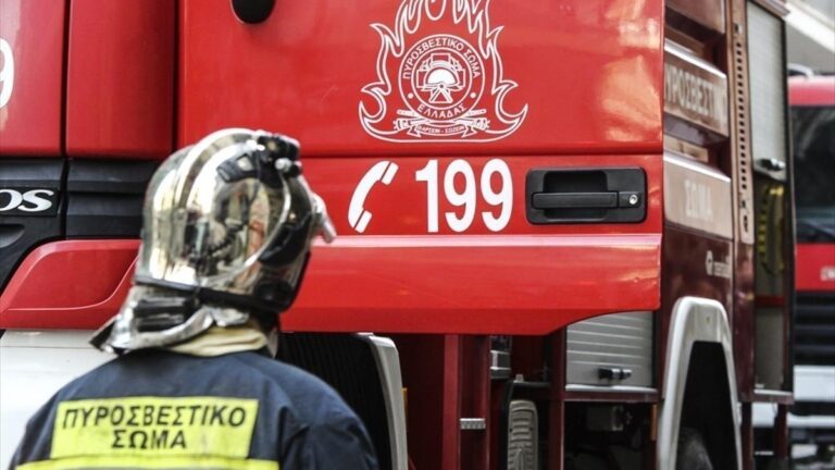 Πυρκαγιά σε δασική έκταση στo Τσικράκι Φαρσάλων