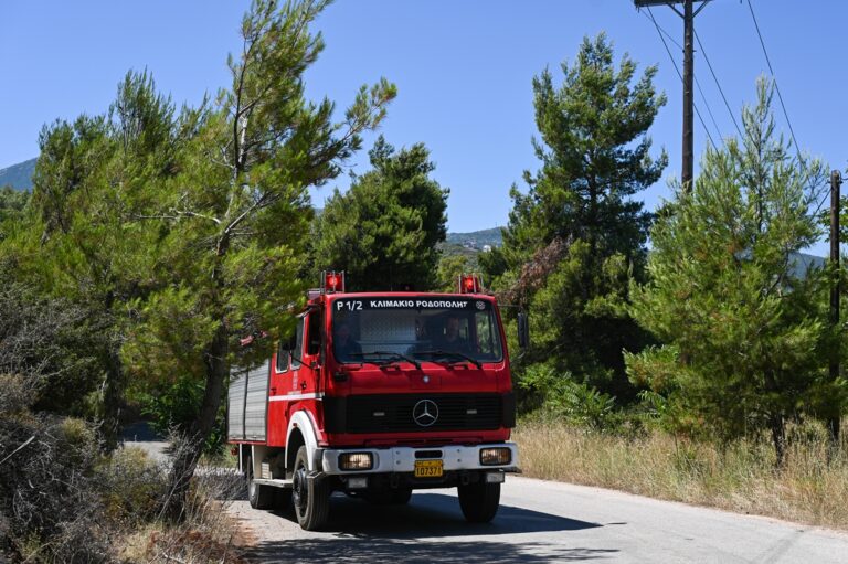 Υπό έλεγχο η μεγάλη φωτιά στην περιοχή της Αμφίπολης
