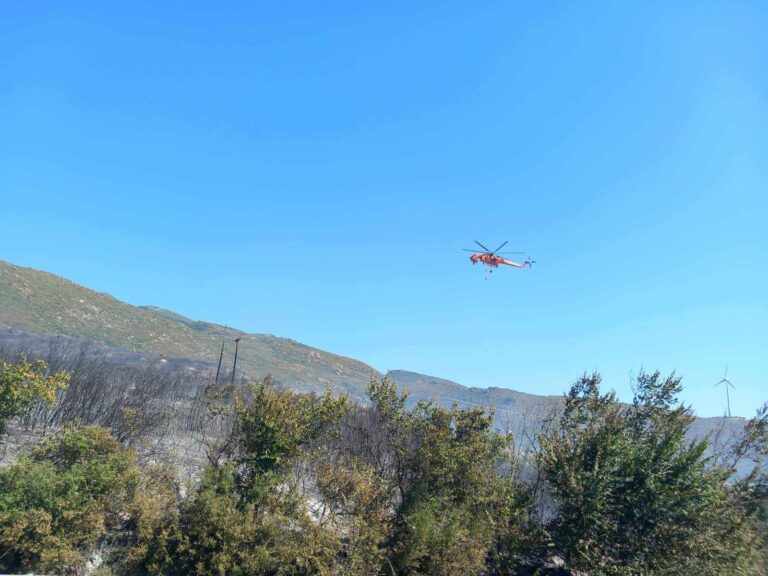 Λάρισα: Φωτιά ξέσπασε κοντά στα Τέμπη