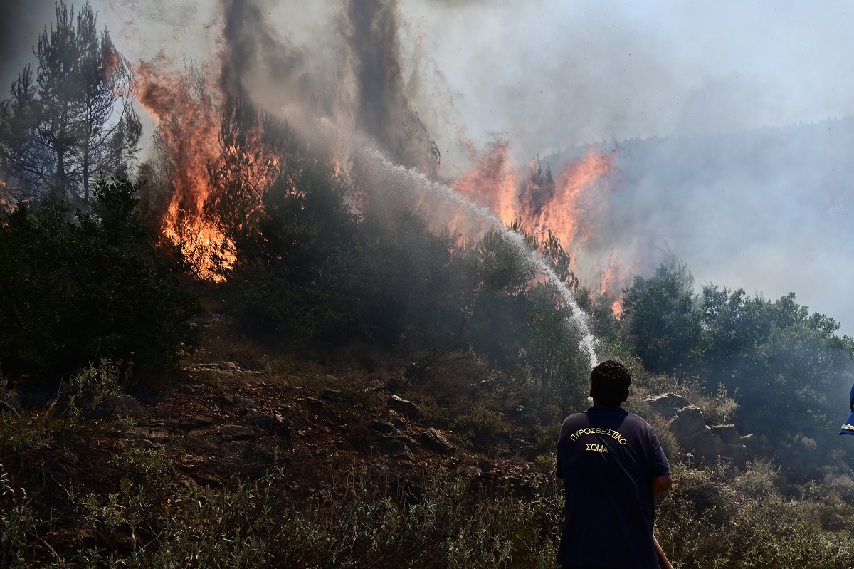 Κ. Φυλακτός (αντιδήμαρχος Μεγαρέων) στο Πρώτο: Επείγουσα έκκληση για επιπλέον εναέρια μέσα (audio)