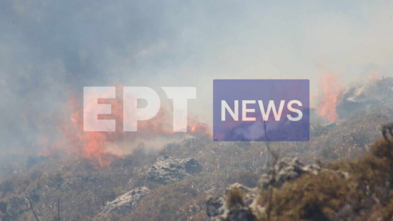 Νέα αναζωπύρωση στη Ρόδο: Τιτάνια μάχη με την πύρινη λαίλαπα – Φαρμακευτικό υλικό στους ήρωες της πυροσβεστικής (photos)