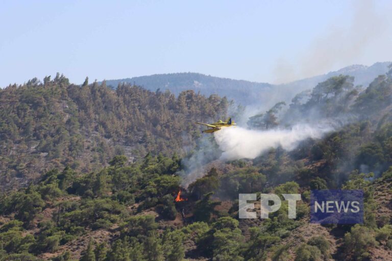 Ενεργό το μέτωπο στην Ρόδο – Μάχη με τις αναζωπυρώσεις (βίντεο)