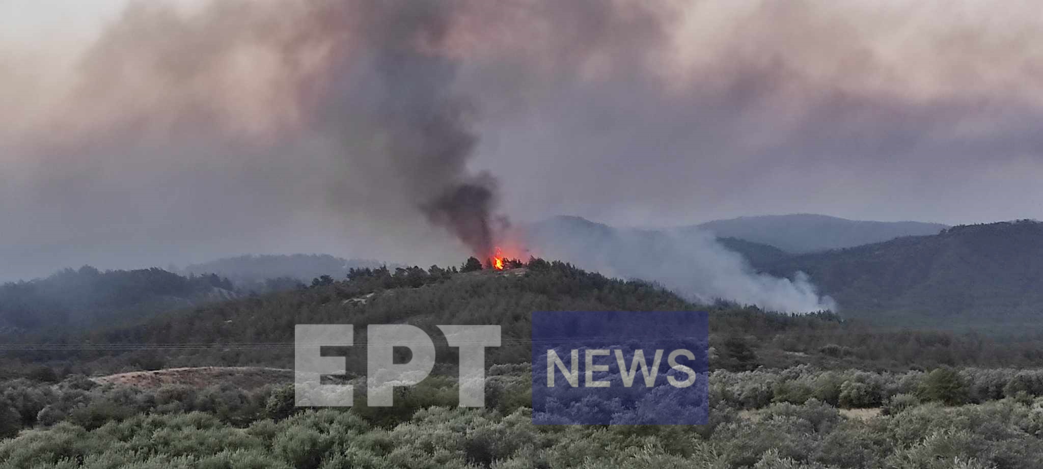 Ρόδος: Στη μάχη για την κατάσβεση της πυρκαγιάς ρίχτηκαν τα εναέρια μέσα (video)