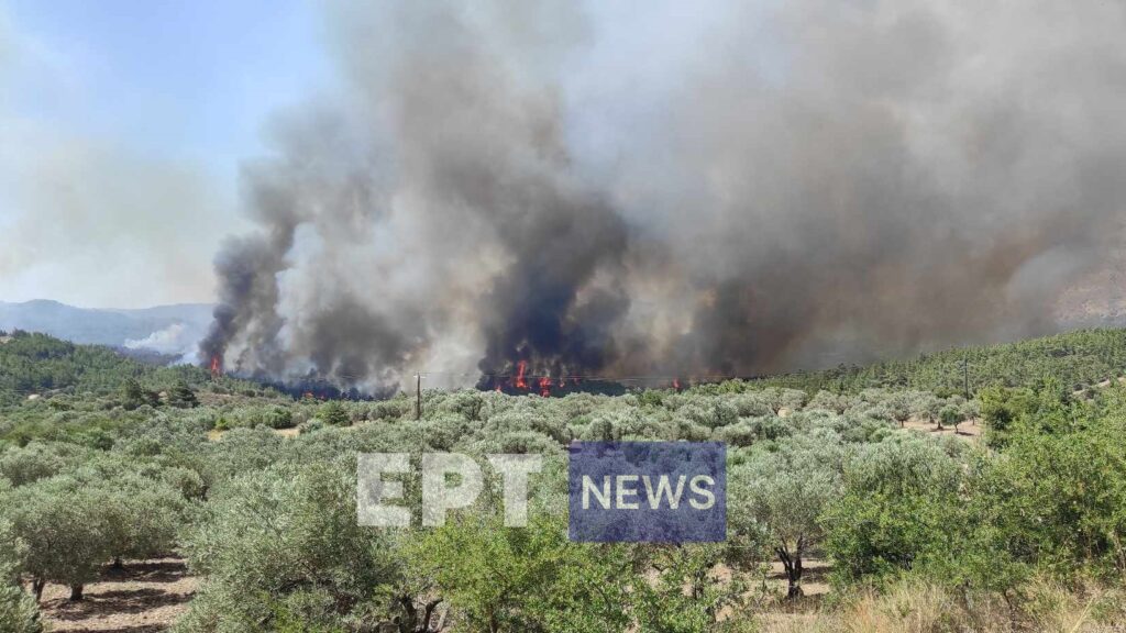 Συνεχείς αναζωπυρώσεις της φωτιάς στην Ρόδο – Εκκένωση οικισμών και ξενοδοχείου (βίντεο)