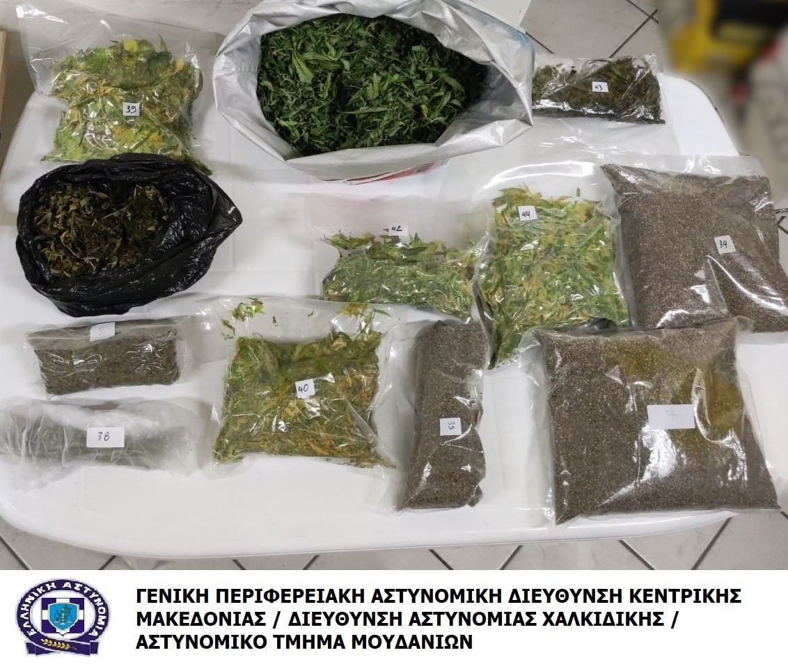 Χαλκιδική: Σύλληψη δύο ατόμων για κάνναβη- Καλλιεργούσαν 43 δενδρύλλια σε θερμοκήπιο