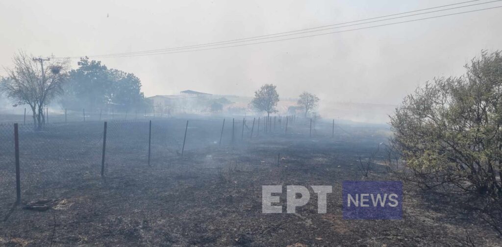 Μεγάλη φωτιά στο Βελεστίνο: Καίγονται σπίτια στον Άγιο Γεώργιο Φερών – Εκκενώνεται το Σέσκλο