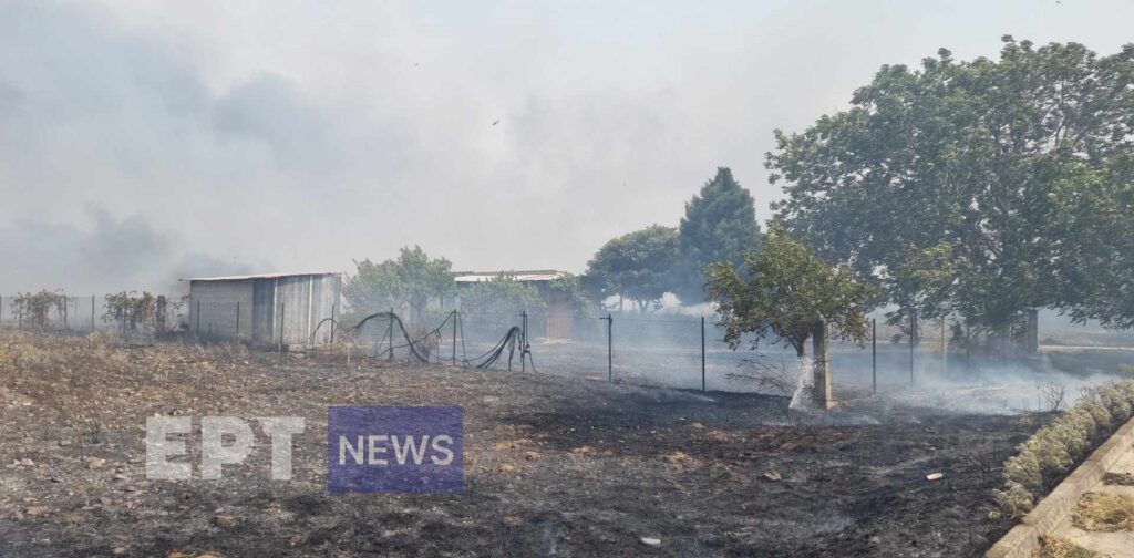 Μεγάλη φωτιά στο Βελεστίνο: Καίγονται σπίτια στον Άγιο Γεώργιο Φερών – Εκκενώνεται το Σέσκλο