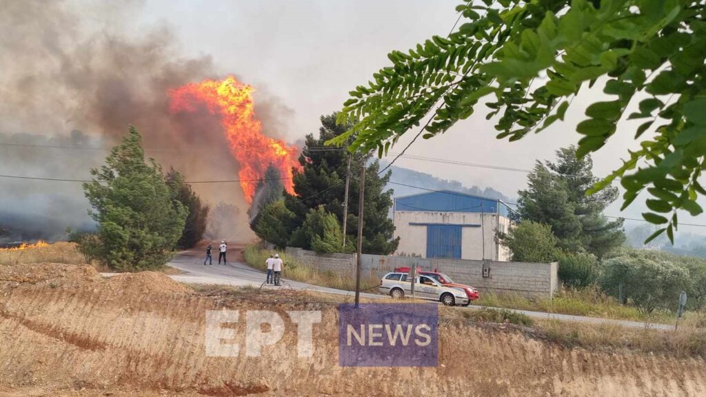 Μεγάλη φωτιά στο Βελεστίνο απειλεί την ΒΙΠΕ: Καίγονται σπίτια και αγνοείται βοσκός στον Άγιο Γεώργιο Φερών – Νέο 112 για άλλα 2 χωριά