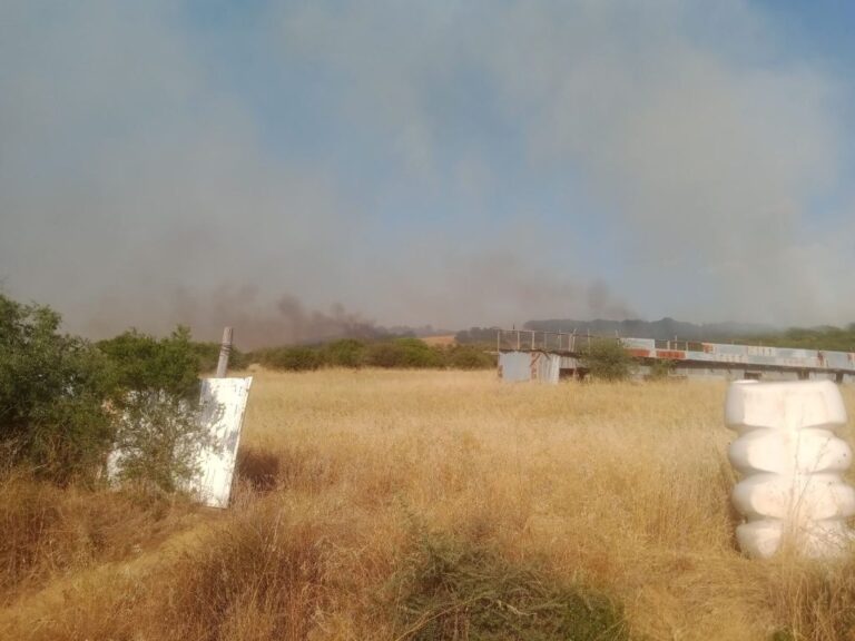 Βόλος: Υπό έλεγχο η φωτιά στις Γλαφυρές – Προκλήθηκε από βλήμα που εξερράγη στο Πεδίο Βολής