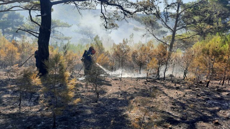 Σε ύφεση η φωτιά στην Χίο – Επιχειρούν τα εναέρια μέσα (βίντεο)