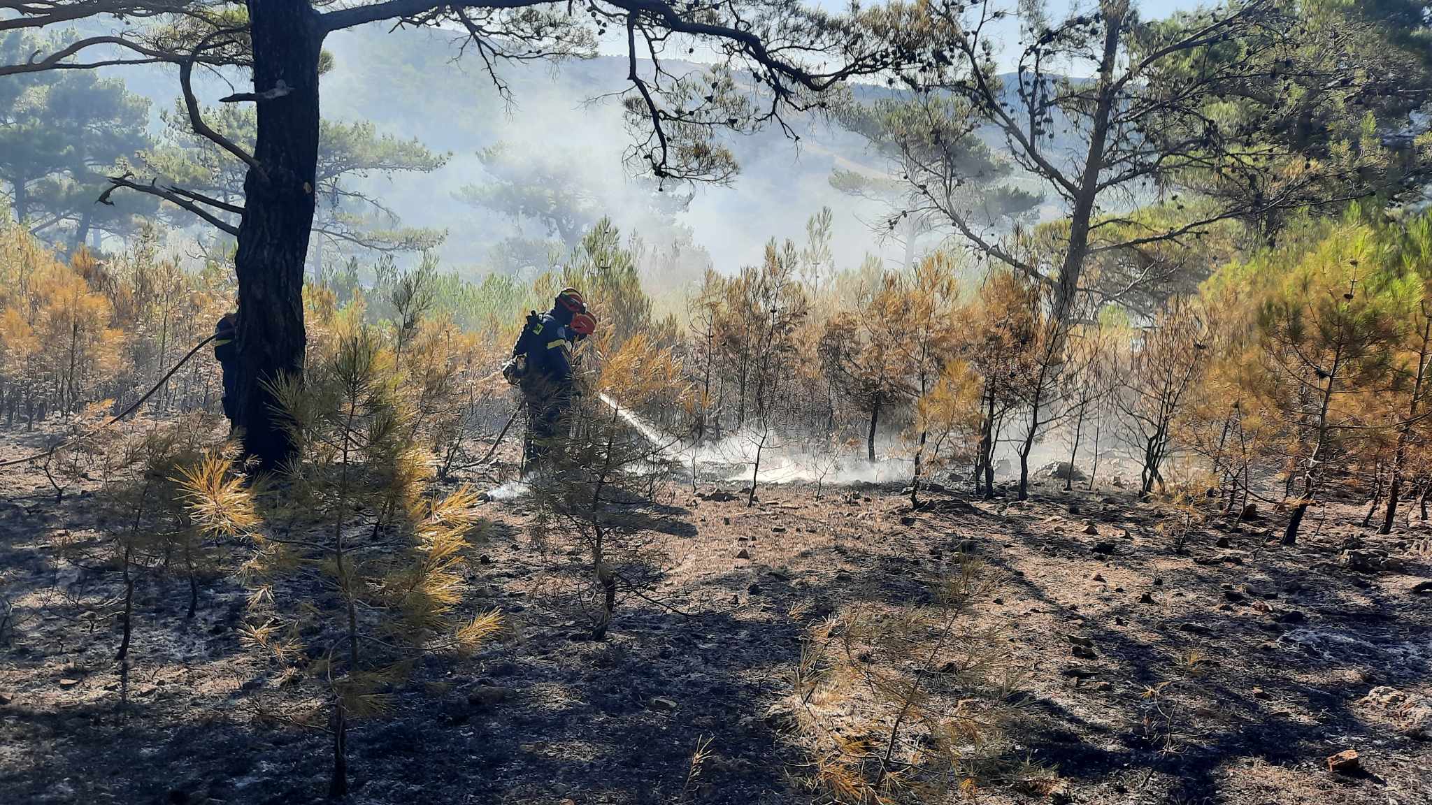 Σε ύφεση η φωτιά στην Χίο (βίντεο)