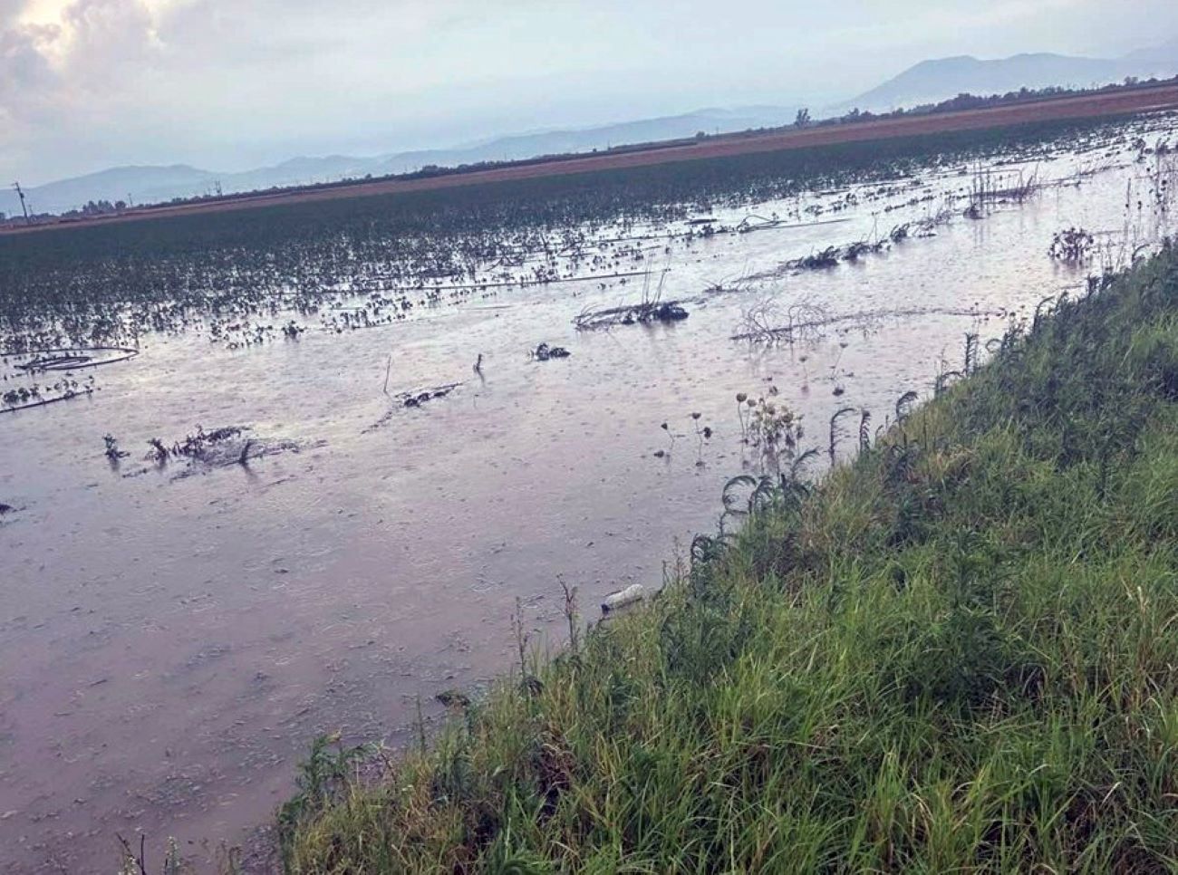 Καρδίτσα: Εκτεταμένες ζημιές σε καλλιέργειες από βροχόπτωση και χαλαζόπτωση στο Δήμο Σοφάδων