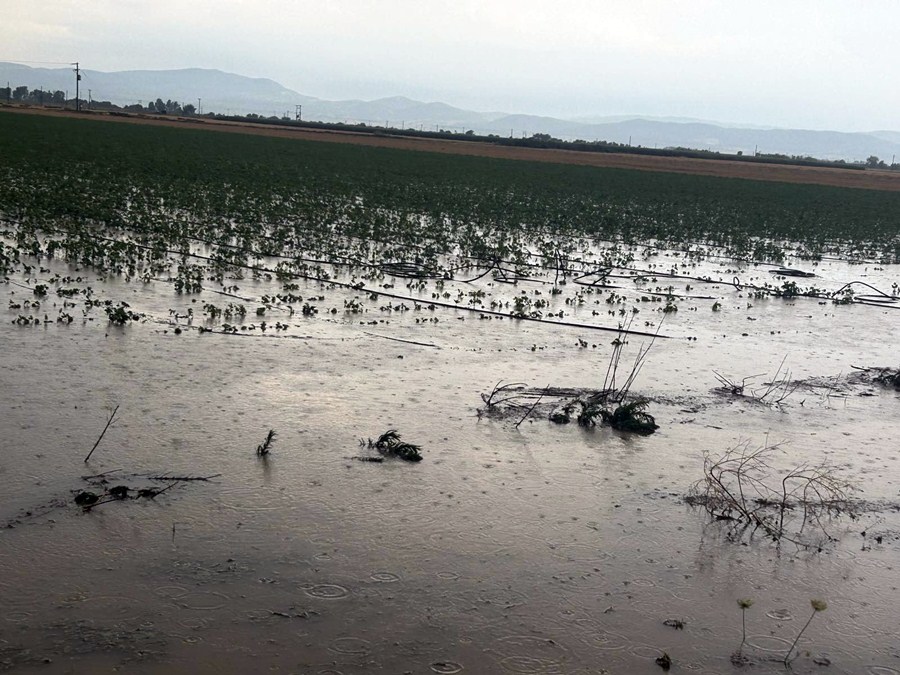 Καρδίτσα: Εκτεταμένες ζημιές σε καλλιέργειες από βροχόπτωση και χαλαζόπτωση στο Δήμο Σοφάδων