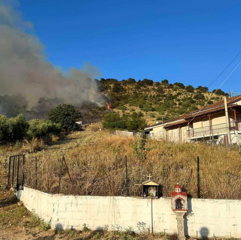 Πυρκαγιά στην Παντάνασσα Φιλιππιάδας