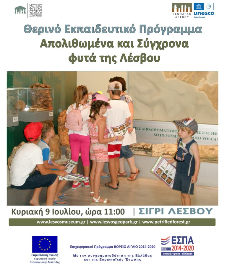 Θερινό εκπαιδευτικό πρόγραμμα: “Απολιθωμένα και σύγχρονα φυτά της Λέσβου”