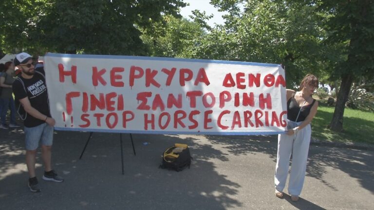 Κέρκυρα: Συνελήφθη ο ιδιοκτήτης του αλόγου που ξεψύχησε στο δρόμο