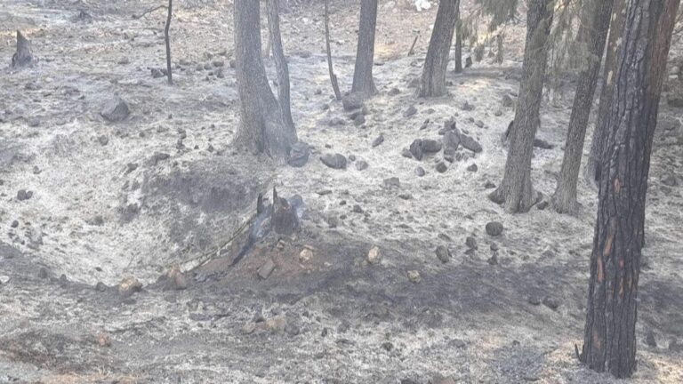 Φωτιά στη Ρόδο: Συγκρατημένη αισιοδοξία για την οριοθέτησή της