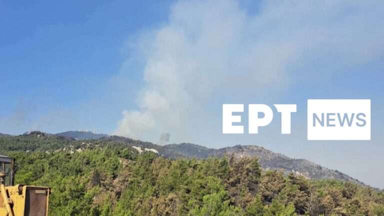 Μάχη για την κατάσβεση της φωτιάς στη Ρόδο – Συνεχείς αναζωπυρώσεις – Νέο μέτωπο ανάμεσα σε Λάερμα και Άγιο Ισίδωρο