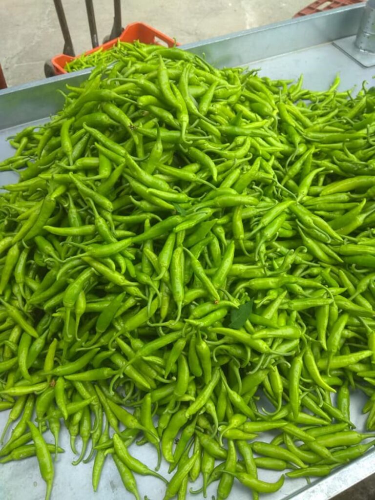 Σέρρες: 8η Γιορτή Μπακάλικης Πιπεριάς στον Αγιο Ιωάννη