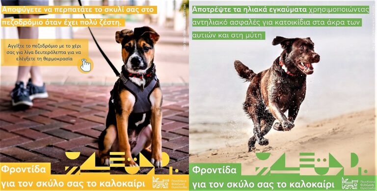 Πανελλήνια Φιλοζωική Ομοσπονδία: Οδηγίες ενόψει καύσωνα