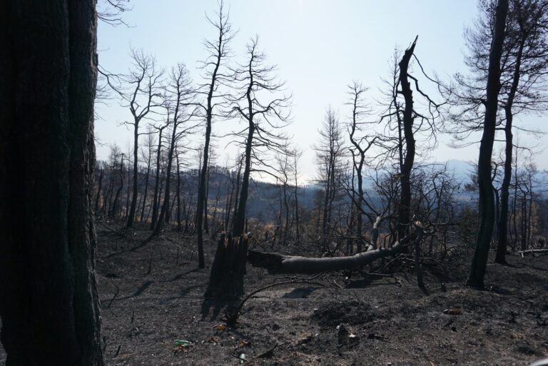 Φωτιά στην Εύβοια: Νέο μέτωπο στον Δοκό Χαλκίδας