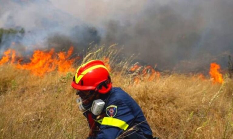 Αργολίδα: Φωτιά σε αγροτοδασική έκταση στο Μετόχι Ερμιονίδας