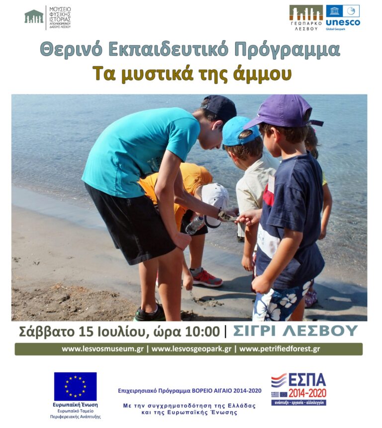 Λέσβος: Τα μυστικά της άμμου – Θερινό εκπαιδευτικό πρόγραμμα στο Μουσείο Απολιθωμένου Δάσους