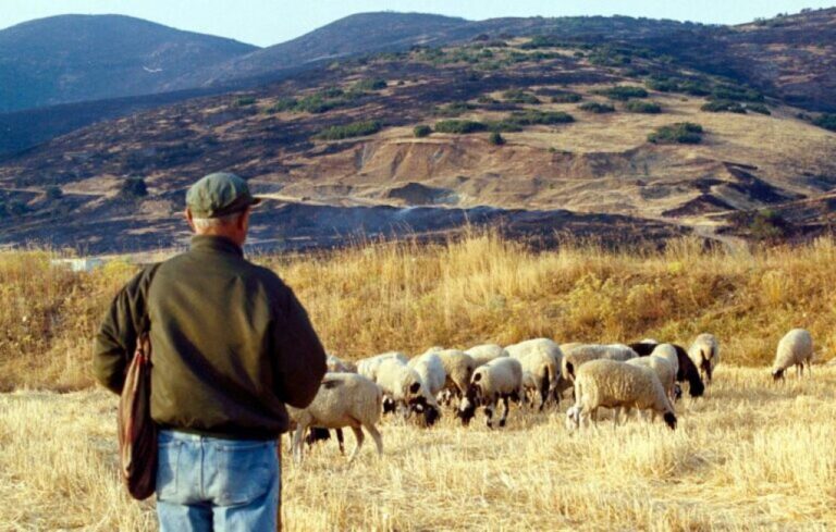 Προμαχώνας Σερρών: Νεκρός εντοπίστηκε ο 73χρονος βοσκός που αγνοούνταν