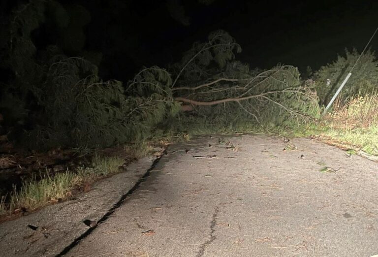 Σέρρες: Επιχείρηση αποκατάστασης βλαβών από το μπουρίνι – Επαναφορά ρεύματος παντού έως αργά το μεσημέρι