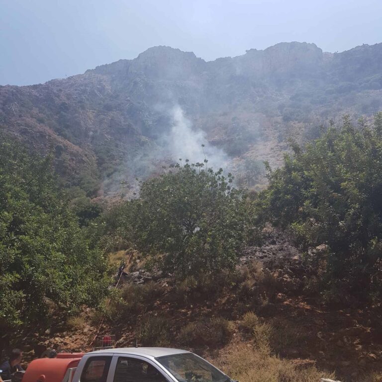 Ηράκλειο: Σε ύφεση δασική πυρκαγιά στο φαράγγι του Αλμυρού – Επί τόπου ισχυρή δύναμη πυρόσβεσης (βίντεο)