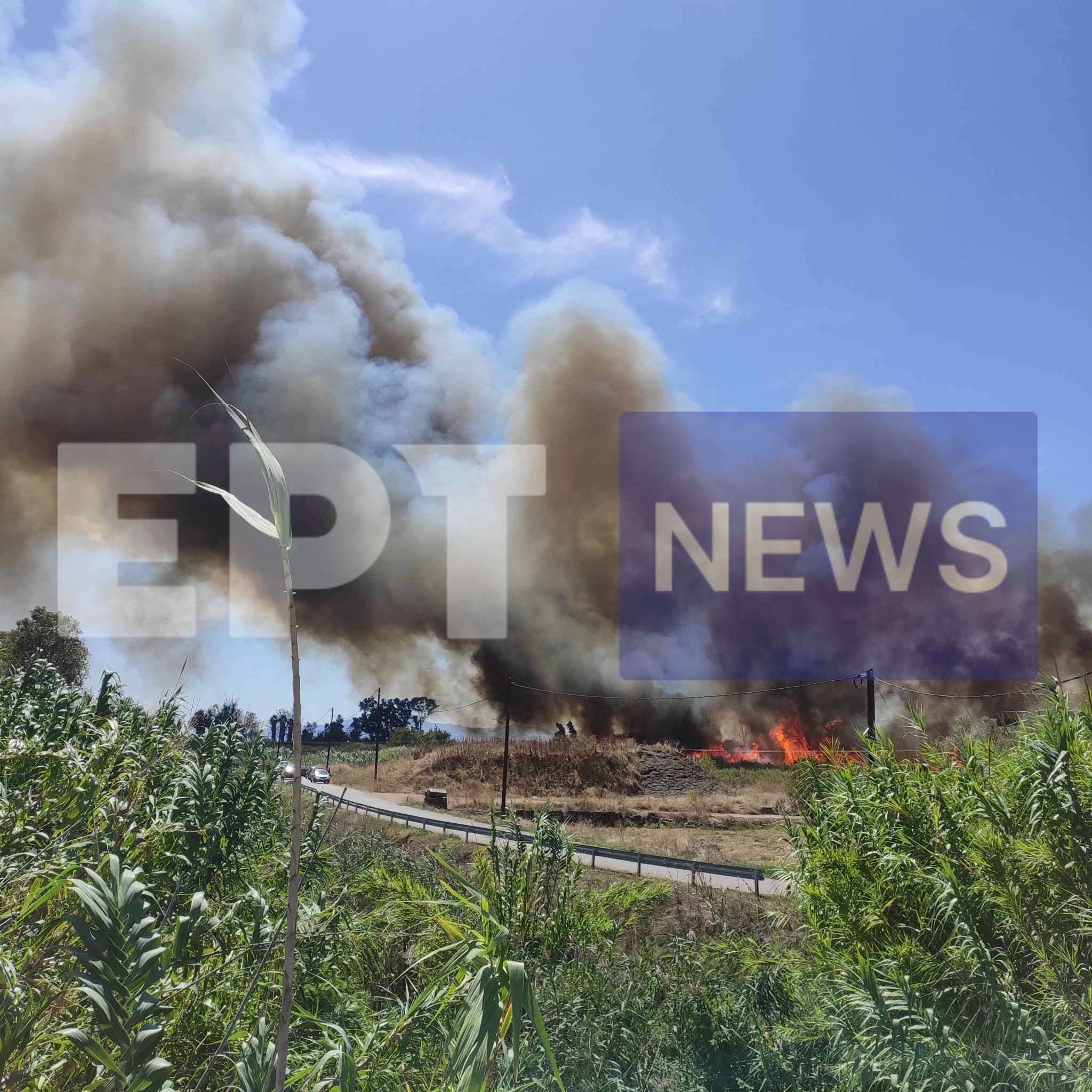 Καλαμάτα: Φωτιά σε εξέλιξη στην Ασπροπουλιά – Μήνυμα απο το 112 για εκκένωση της Ασπροπουλιάς (βίντεο)