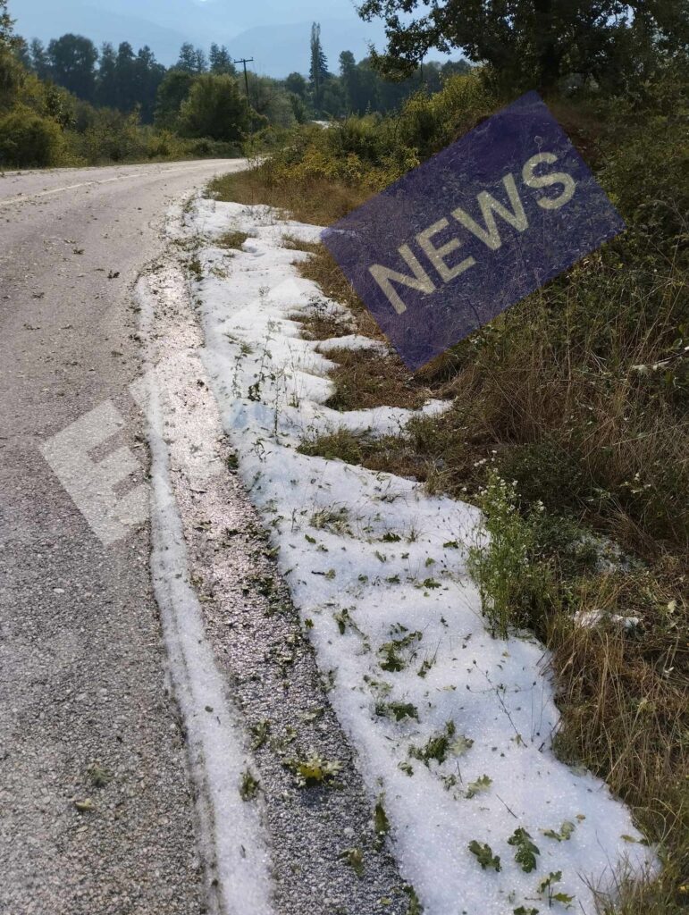 Καστοριά: Ολική καταστροφή στις καλλιέργειες φασολιών προκάλεσε έντονη χαλαζόπτωση (φωτό-βίντεο)