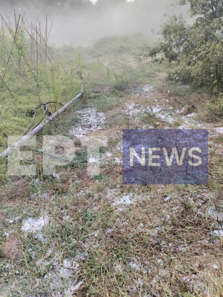 Καστοριά: Ολική καταστροφή στις καλλιέργειες φασολιών προκάλεσε έντονη χαλαζόπτωση (φωτό-βίντεο)