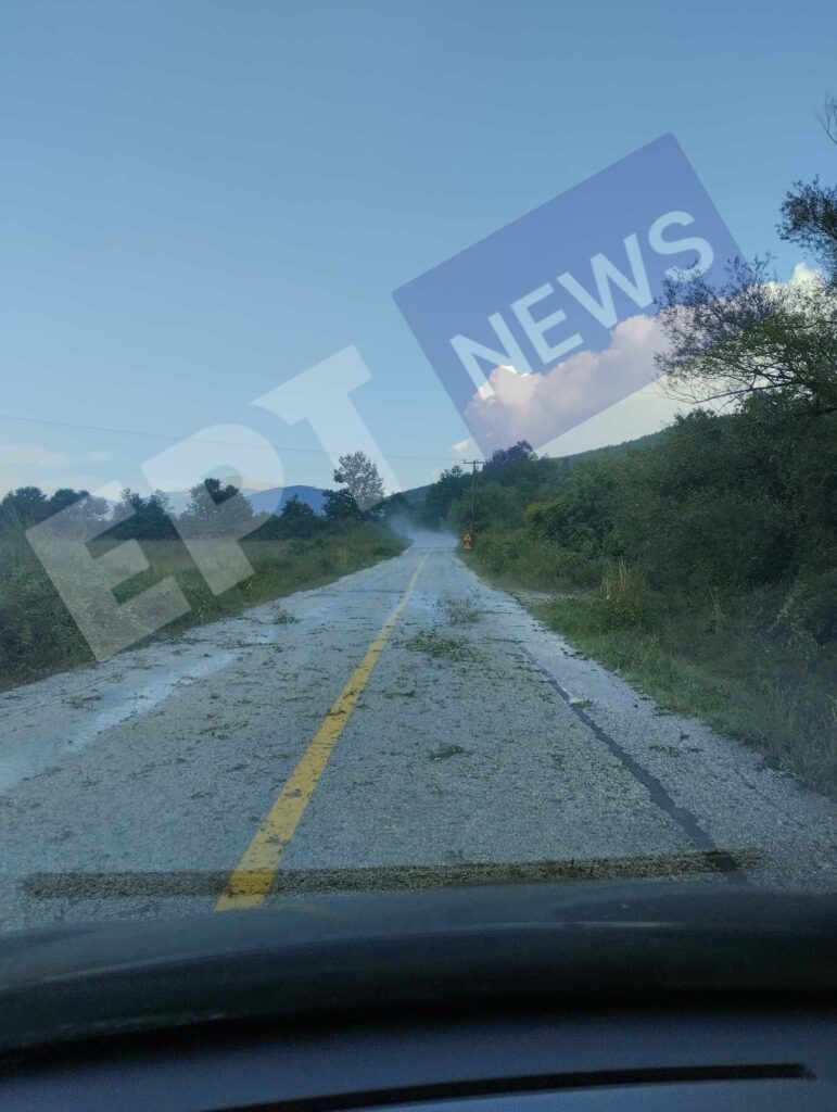 Καστοριά: Ολική καταστροφή στις καλλιέργειες φασολιών προκάλεσε έντονη χαλαζόπτωση (φωτό-βίντεο)