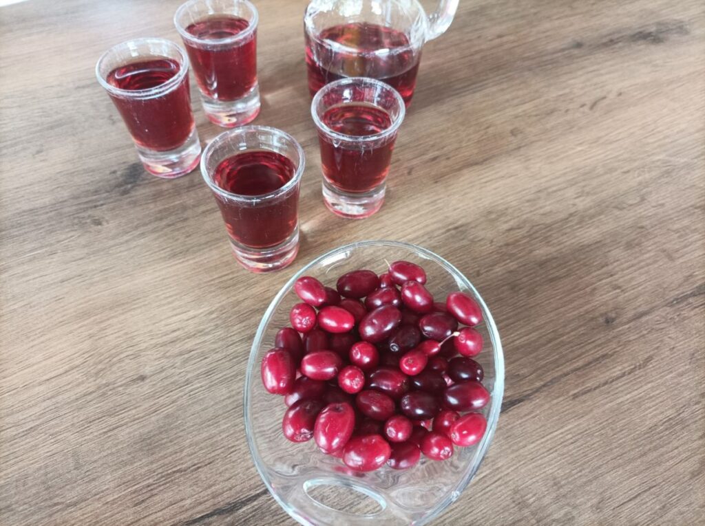 Λάρισα: Καλλιέργεια Κρανιάς- H εναλλακτική καλλιέργεια ορεινών και ημιορεινών περιοχών