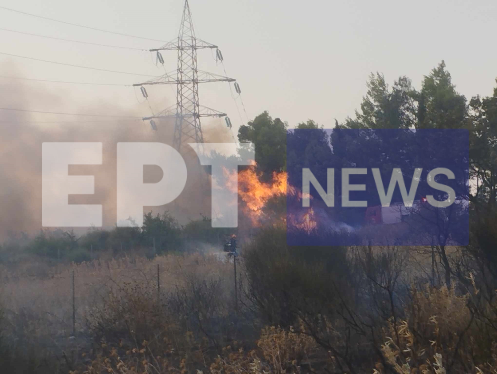 Πάτρα: Υπό μερικό έλεγχο τέθηκε η πυρκαγιά στη Σκιόεσσα Αχαΐας