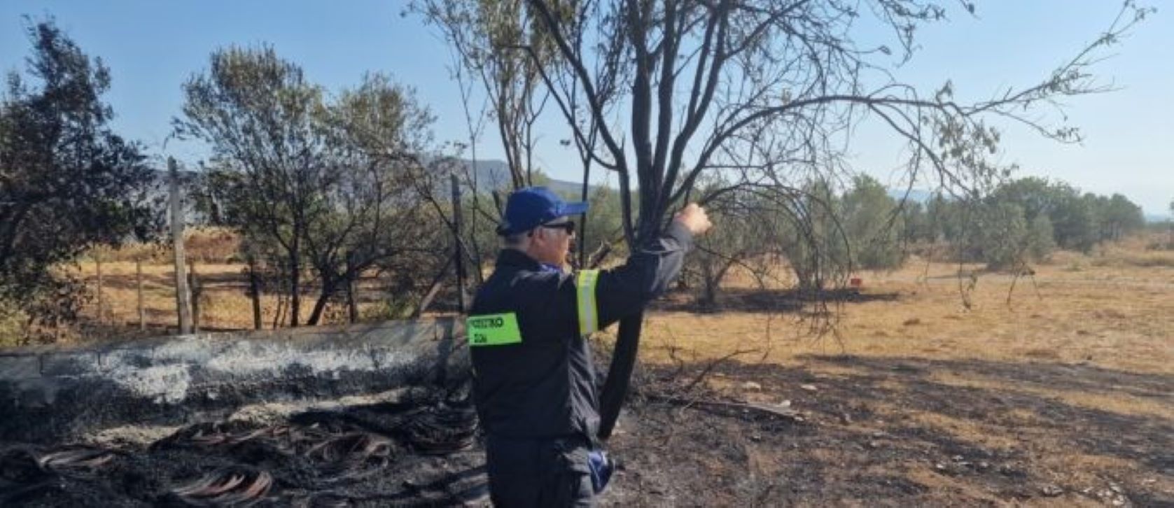 Βόλος: Για εμπρησμό από πρόθεση συνελήφθη 76χρονος την ώρα που έκαιγε ξερά χόρτα